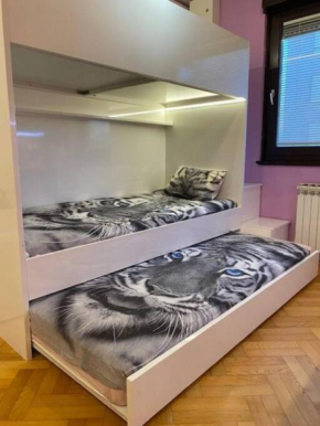 Studio with 3 beds + private parking place